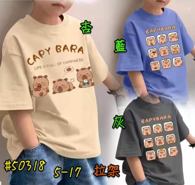 卡皮巴拉上衣50318